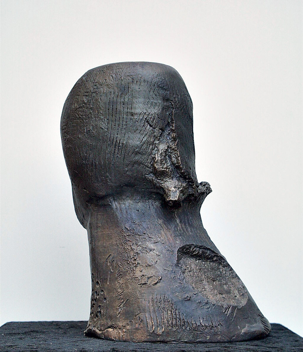 Emotional exercise231